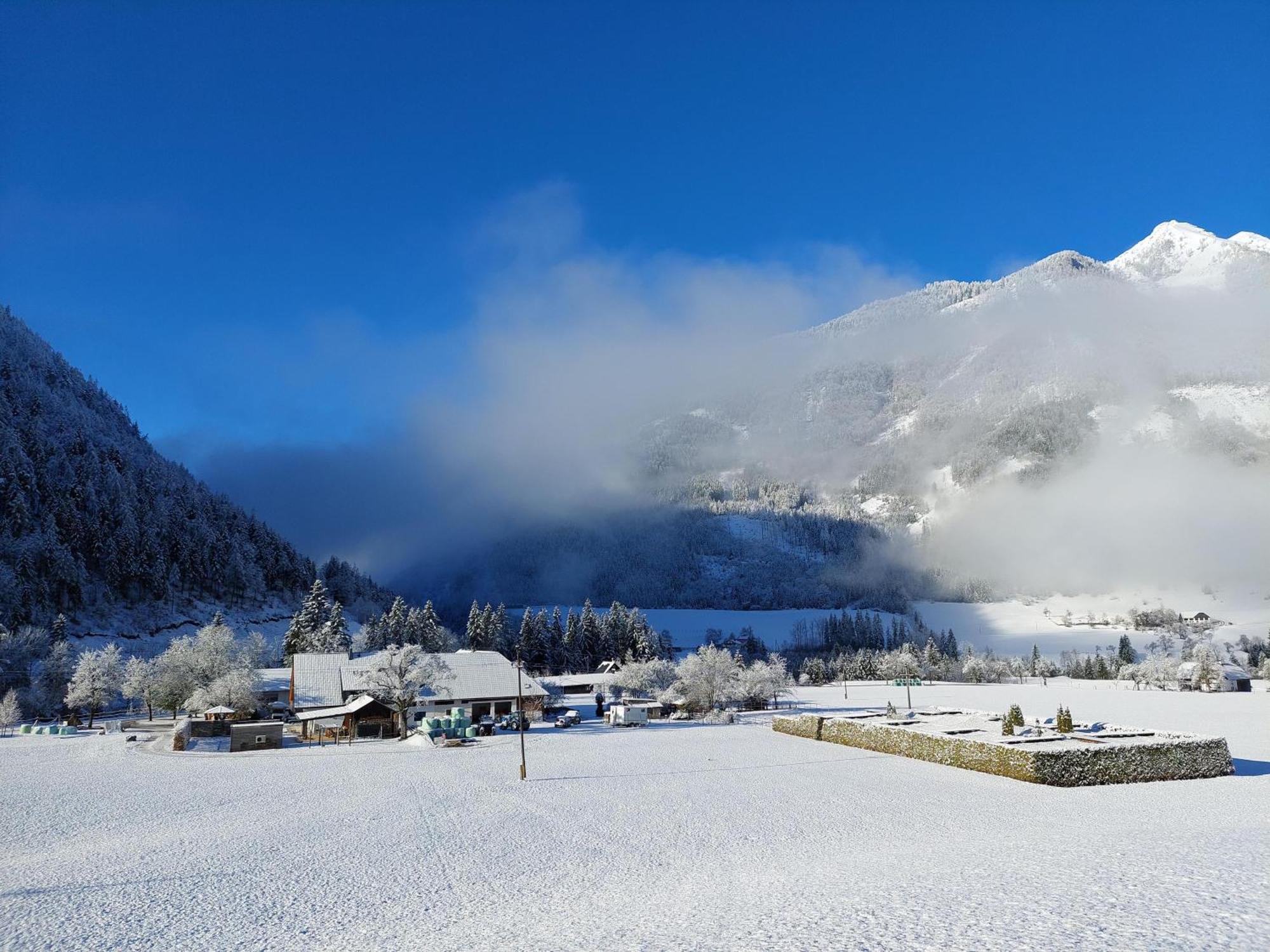 Hofpower's Mountain Feeling Apartment Hinterstoder