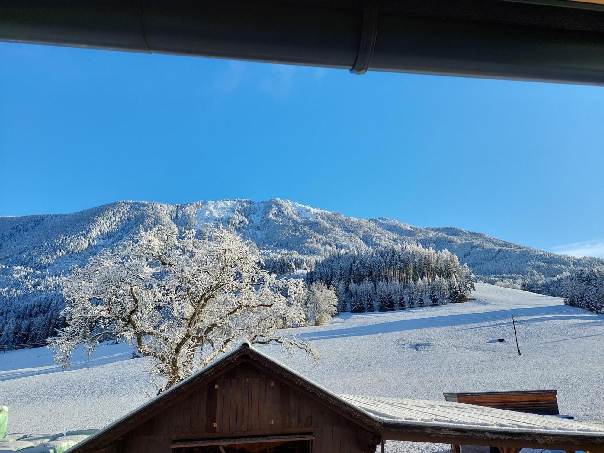 Hofpower's Mountain Feeling *