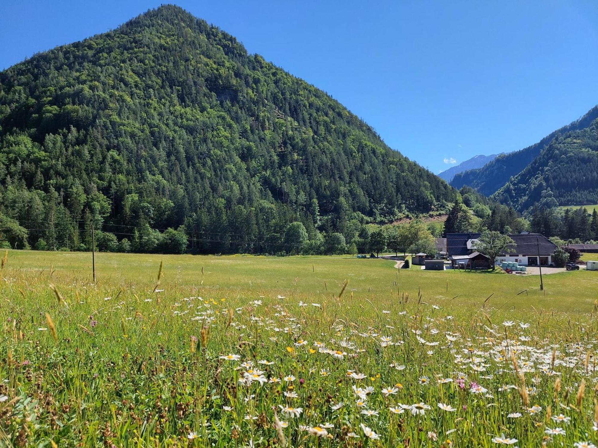 Appartamento Hofpower's Mountain Feeling