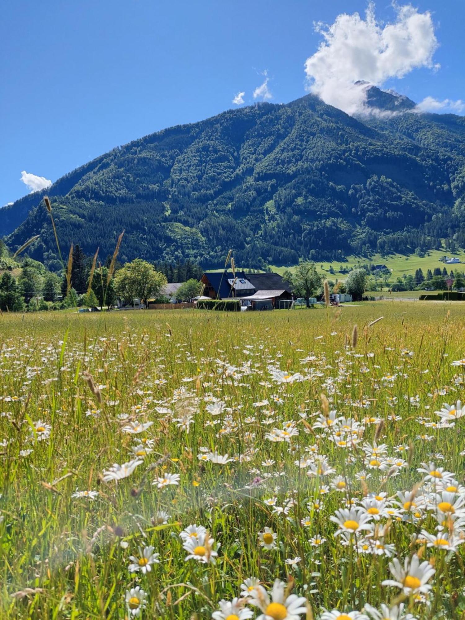 Hofpower's Mountain Feeling Appartamento