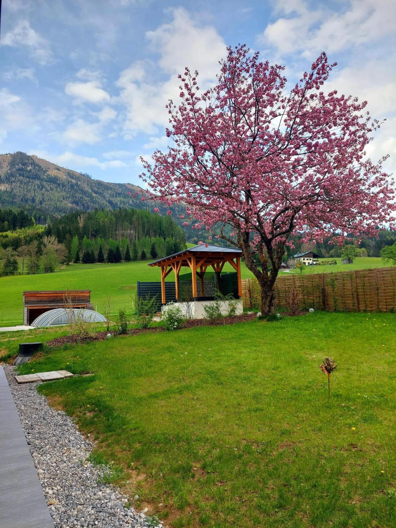Hofpower's Mountain Feeling Apartment